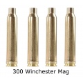 300 Winchester Win Mag